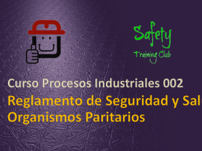 INTRODUCCIÓN A LA GESTIÓN DE SEGURIDAD, ROLES Y RESPONSABILIDADES DE LOS MIEMBROS DE ORGANISMOS PARITARIOS